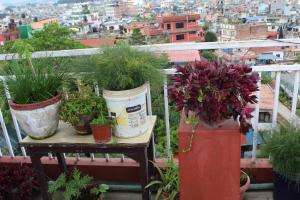 Un balcón o terraza en 32 Peace Home