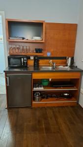 Kuchyň nebo kuchyňský kout v ubytování 4 Elements Apartments