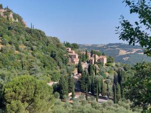 a village on a hill with trees and houses at Le Stanze del Ritrovino in Castiglione dʼOrcia