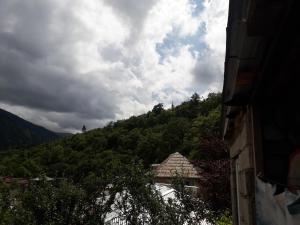 a view of a mountain with a house on a hill at Guesthouse Gurami in Borjomi