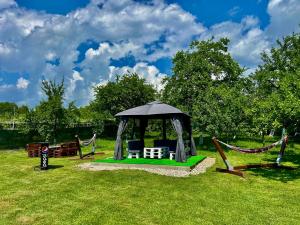 a gazebo with two chairs and an umbrella at Casa Andra in Baia de Fier