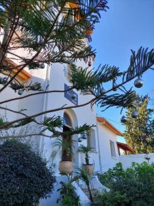 a white building with a window and potted plants at Hôtel La Cuenda Sochatour in Arbaoua