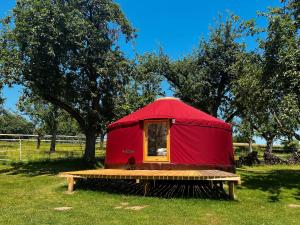 a red yurt with a table in a field at Löwenhof Jurte in Wald +10 photos
