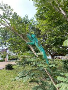 En hage utenfor Andasibe Sifaka Lodge