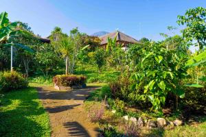 Um jardim no exterior de Manigelang Villa