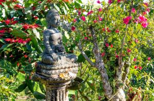 Um jardim no exterior de Manigelang Villa