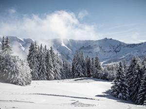 Duplex lumineux à Megève, proche télécabine du Jaillet, 2 chambres en suite, parking, casier à ski - FR-1-569-77 v zime