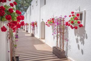 Fotografie z fotogalerie ubytování Mera Resort v destinaci Venus