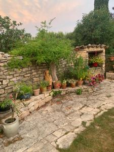 Κήπος έξω από το Chambre sous les cyprès +7 φωτογραφίες