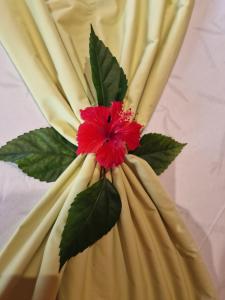 Afbeelding uit fotogalerij van A Peace In Paradise in Baie Lazare Mahé +153 foto's