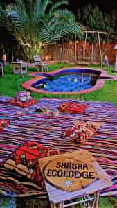 a blanket on the grass next to a swimming pool at Shasha Ecolodge in Siwa