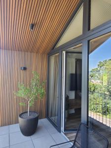 ボイニツェにあるR&J apartmányの窓の隣のパティオに置かれた鉢植えの木