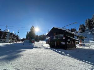 Ultimate Condo - 4 Valleys - Ski-in out - Swiss Alps v zimě