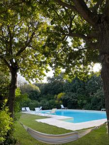 The swimming pool at or close to Masseria Lacatena