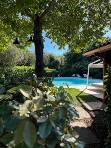 The swimming pool at or close to Masseria Lacatena