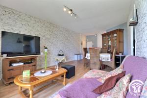 a living room with a couch and a tv at Le haut de breizh in Sens-de-Bretagne