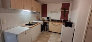 a small kitchen with a sink and a refrigerator at Neukalener Stadthaus Zum Alten Schmied in Neukalen