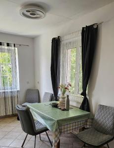 UlmerfeldにあるApartment im Zentrum Ulmerfeldsのダイニングルーム(緑のテーブルと椅子付)