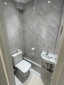 a bathroom with a toilet and a sink at Cosy 4 bedroom house in borehamwood in Borehamwood