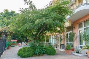 Zahrada ubytování Family Hotel Mimosa