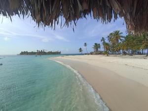 an empty beach with palm trees and the ocean at Room on Barco Hundido Island in Panama City +14 photos