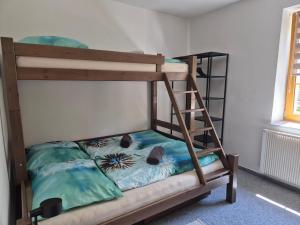 łóżko piętrowe z drabinką obok półki w obiekcie Apartmány Na sjezdovce w mieście Sedloňov