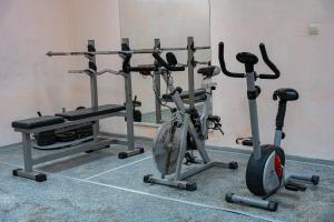 Fitness centrum a/nebo fitness zařízení v ubytování Family Hotel Mimosa