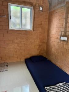 Time Travellers Hostel客房内的一张或多张床位