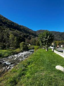 a river next to a field of grass next to a mountain at Studio 4 Aux volets bleus in Aulus-les-Bains