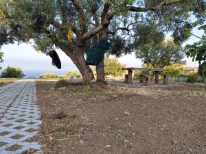 Foto dalla galleria di Il Borgo di Nonno Carlo a Caprioli