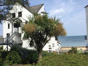 a white house with a palm tree in front of the ocean at 19 Seaview Bay - Charming Seafront Apartment on the Isle of Wight in Seaview