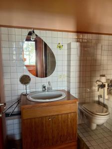 a bathroom with a sink and a toilet and a mirror at Beautiful loft between the sea and the woods in Marcelli