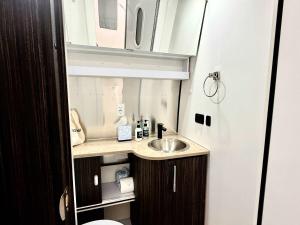 a small bathroom with a sink and a mirror at Airstream Canyon in Orderville