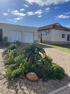 Zahrada ubytování Plett-Dunes 41