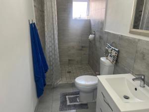a bathroom with a toilet and a sink and a shower at Golfers paradise on 25th green in Hermanus +13 photos