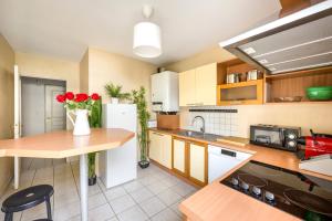 eine Küche mit weißen Geräten und roten Blumen in einer Vase in der Unterkunft BnGo I Immense Terrasses I 3 chambres, garage, 9 pers in Villeurbanne