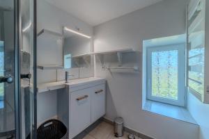 un bagno con lavandino e finestra di Le Clos de Verpierre - Appart avec Jardin a Regny Altre 6 foto