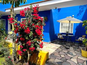 Jardín al aire libre en Bubamara San Lazaro