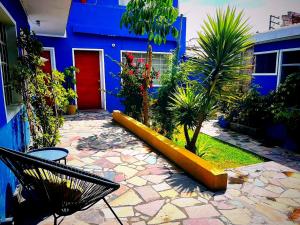 Jardín al aire libre en Bubamara San Lazaro