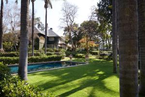a yard with a swimming pool in front of a house at Hoeveld House in Johannesburg