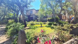 a garden in front of a house with trees and flowers at Le Sughere in Padru +37 photos