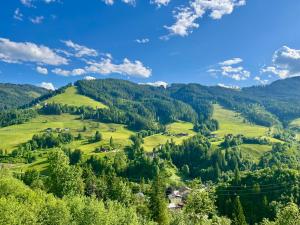 Příroda nedaleko apartmánu