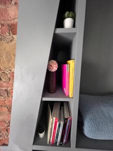a book shelf with books and a potted plant at La stanza dei citti-Lapo in Arezzo