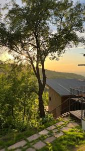 Příroda nedaleko kempu