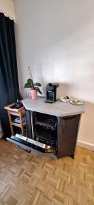 Η κουζίνα ή μικρή κουζίνα στο Central 2 room apartment near SBB