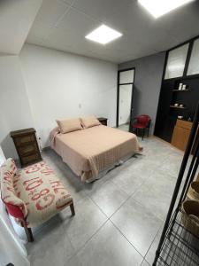 a bedroom with a bed and a chair at Apartment del centro in Santa Rosa +4 photos