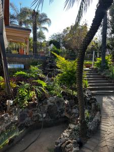 Κήπος έξω από το Garden Studio 2 Waterkloof Ridge