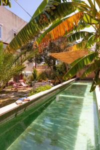 a swimming pool with a umbrella and some chairs at Junqueira Gardens - Casa Antiga Jardim e Piscina in Lisbon