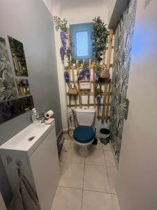 a bathroom with a toilet with a blue seat at Appartement centre de Sète in Sète +13 photos