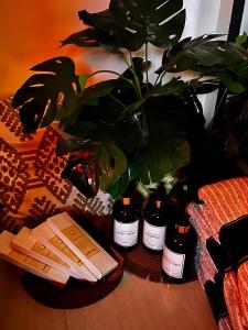 a plant sitting next to a group of five bottles of wine at SLY Staycation at Shore Residences Mall of Asia in Manila